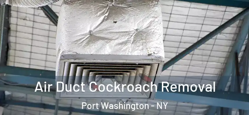 Air Duct Cockroach Removal Port Washington - NY