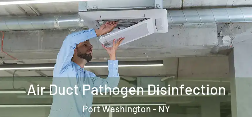 Air Duct Pathogen Disinfection Port Washington - NY