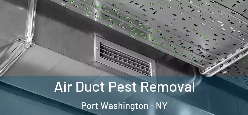 Air Duct Pest Removal Port Washington - NY