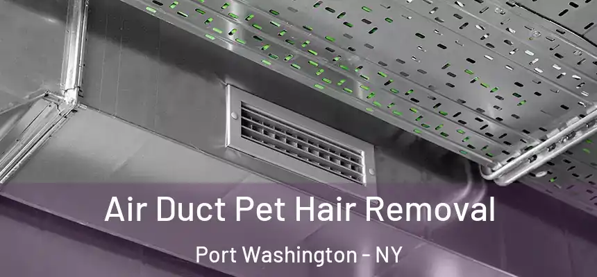 Air Duct Pet Hair Removal Port Washington - NY