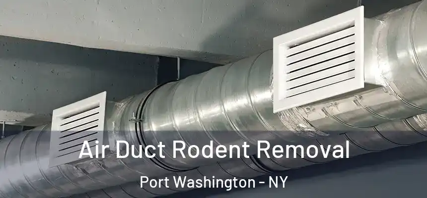 Air Duct Rodent Removal Port Washington - NY