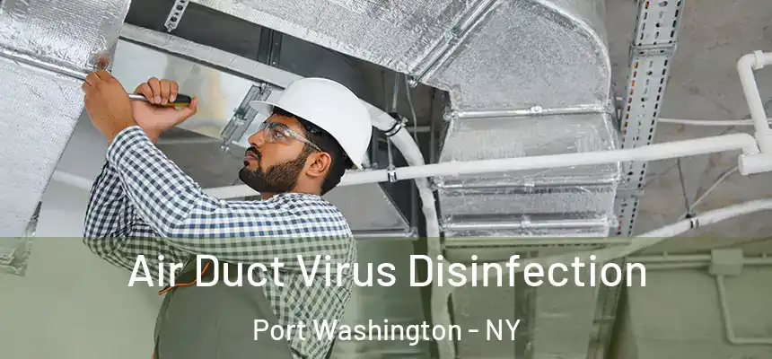 Air Duct Virus Disinfection Port Washington - NY