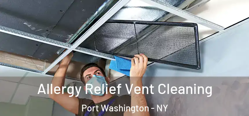  Allergy Relief Vent Cleaning Port Washington - NY