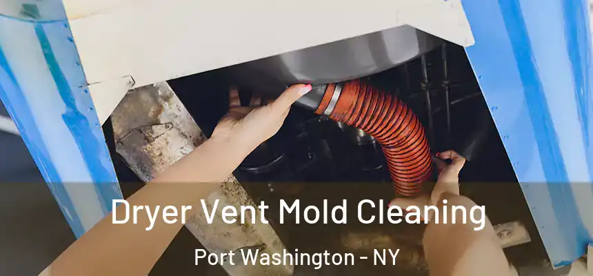 Dryer Vent Mold Cleaning Port Washington - NY