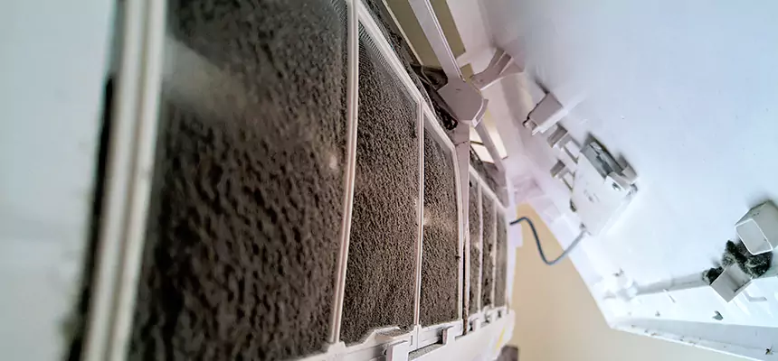 Preventive Air Duct Bacteria Removal in Port Washington