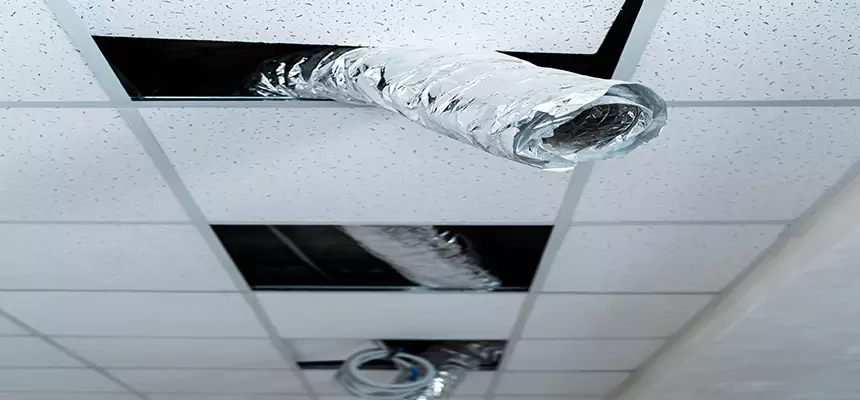 Our Air Duct Pet Hair Removal Services in Port Washington, NY