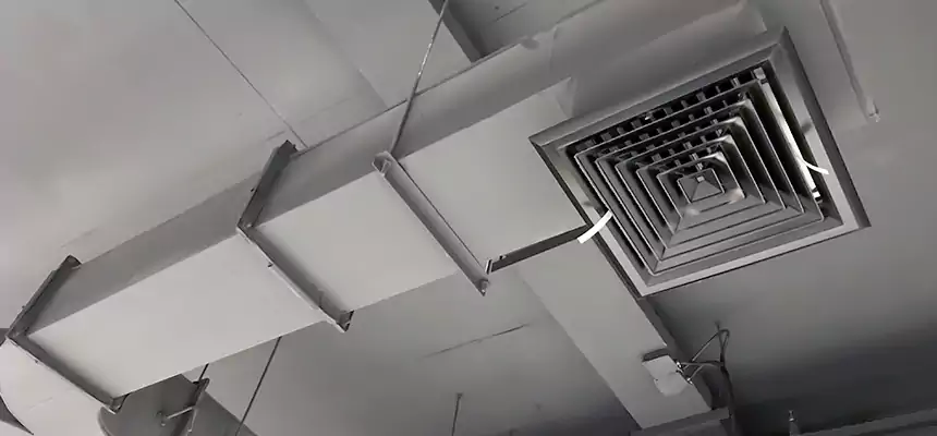 Restorative Allergy Relief Vent Cleaning – Coil, Blower & Housing Detail in Port Washington