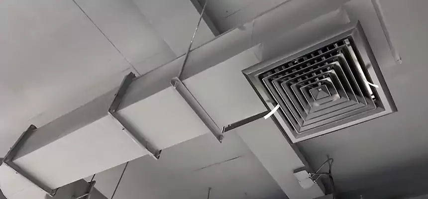 Our Pest Removal From Ducts Services in Port Washington, NY