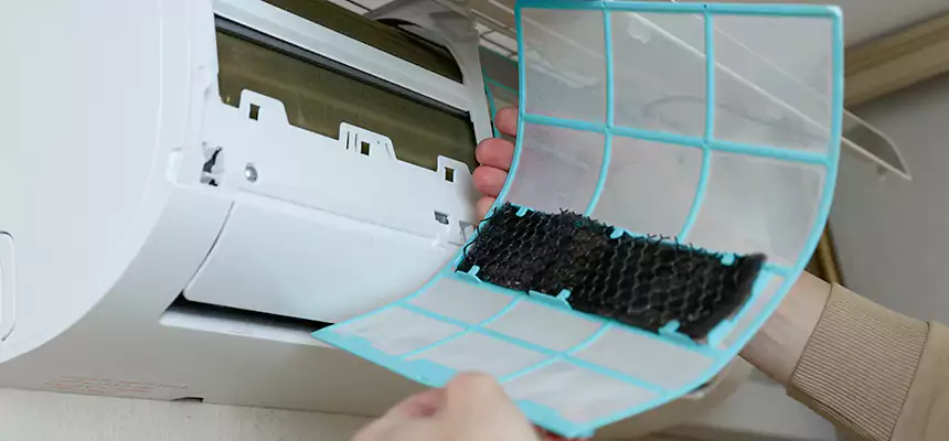 Gentle Ductwork Odor-Control Pet Dander Duct Cleaning in Port Washington, NY