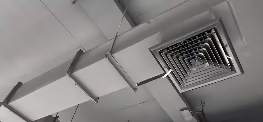 Our Rodent Droppings In Vents Services in Port Washington, NY