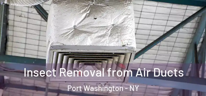 Insect Removal from Air Ducts Port Washington - NY
