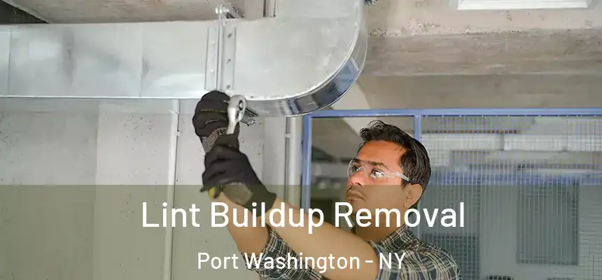 Lint Buildup Removal Port Washington - NY