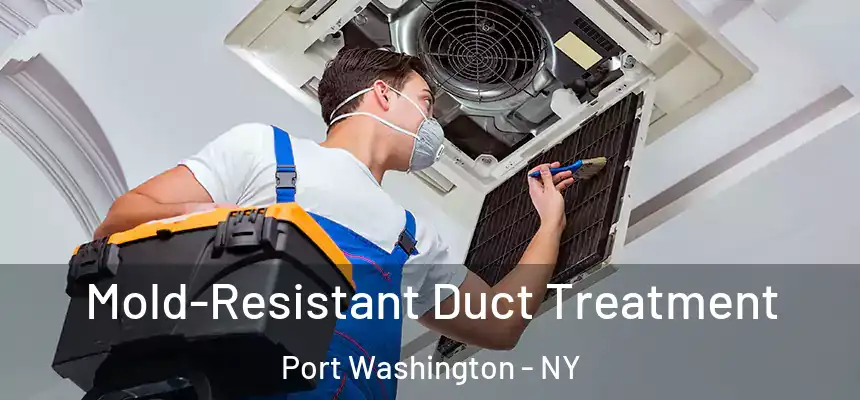 Mold-Resistant Duct Treatment Port Washington - NY