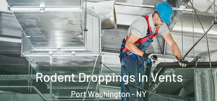 Rodent Droppings In Vents Port Washington - NY