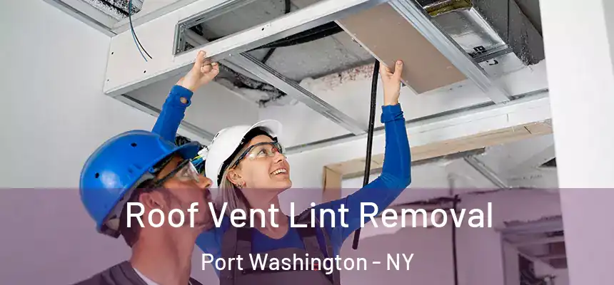 Roof Vent Lint Removal Port Washington - NY