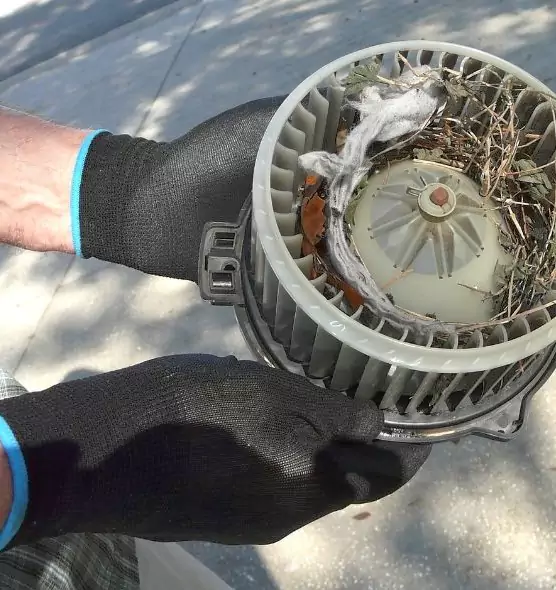 About Air Duct Mice Removal in Port Washington, NY