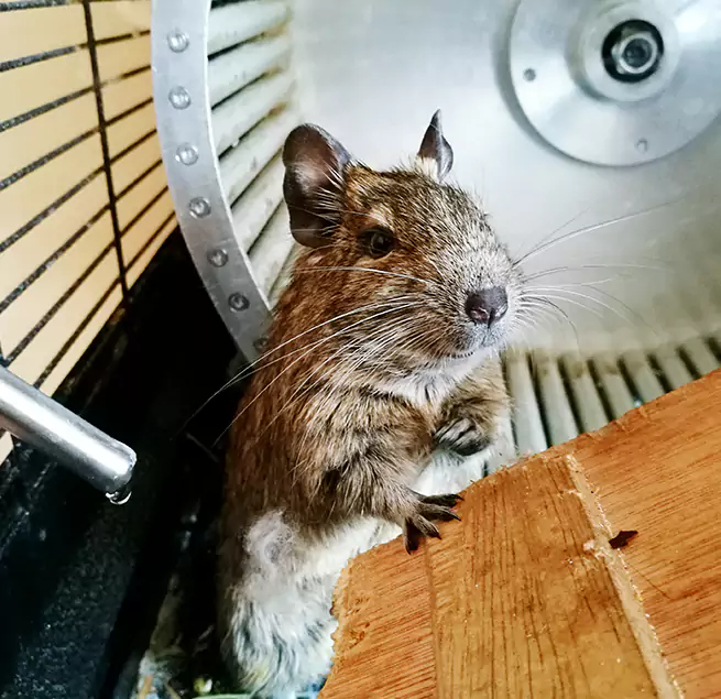 Why Homeowners & Businesses Trust Us Port Washington, NY