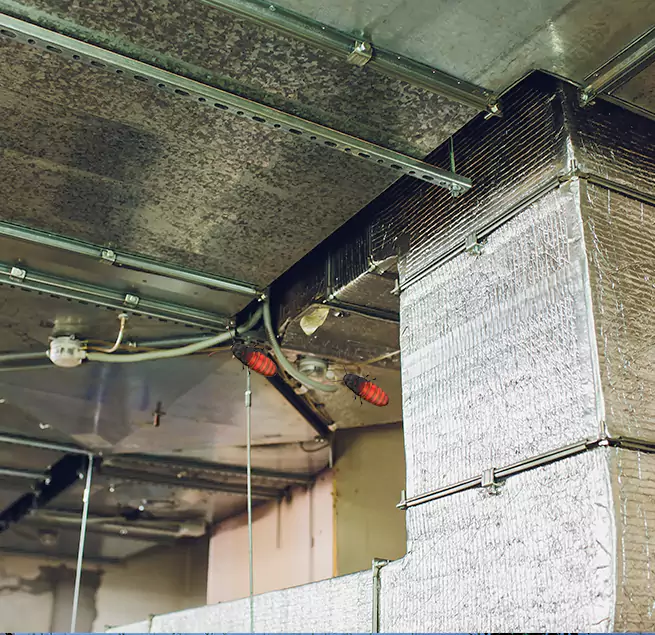 Why Homeowners & Businesses Trust Us Port Washington, NY?