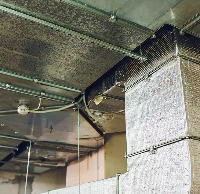 Why Homeowners & Businesses Trust Us in Port Washington, NY?